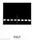 Fig. 09 - Porous media
