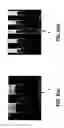 Fig. 07 - Method of etching porous dielectric