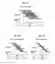 Fig. 07 - Electronic imaging system
