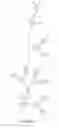 Fig. 22 - Acceptor compounds useful for making hyperpolarizable organic chromophores