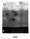 Fig. 09 - Thin film device and its fabrication method