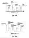 Fig. 09 - Nor-type channel-program channel-erase contactless flash memory on SOI