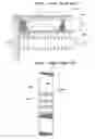 Fig. 16 - Method for producing magnetic tape in which a prescribed winding habit is imparted to the magnetic tape