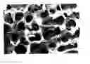 Fig. 01 - Method for preparing porous bioceramic bone substitute materials