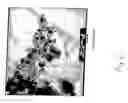 Fig. 03 - Method and apparatus for producing nano-particles of silver