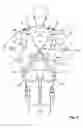 Fig. 03 - Belt assembly