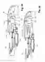 Fig. 35 - Back construction for seating unit having inverted U-shaped frame