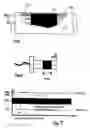 Fig. 05 - Operator sensing circuit for disabling motor of power equipment