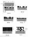 Fig. 03 - Cantilever microprobes for contacting electronic components and methods for making such probes