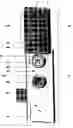 Fig. 01 - Retrofit electronic lock security system
