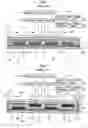 Fig. 02 - Image displaying method and image forming apparatus utilizing a reversible image display medium having a high resolution image display