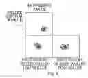 Fig. 07 - Object display system in a virtual world