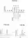 Fig. 40 - Image display device employing selective or asymmetrical smoothing