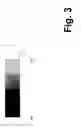 Fig. 04 - Method and system for reducing gray scale discontinuities in contrast enhancing screens affected by ambient light
