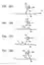 Fig. 22 - Image forming apparatus