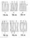 Fig. 04 - Bistable liquid crystal device with picture electrodes having comb structure