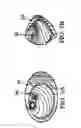 Fig. 05 - Radically shaped lenses and goggle assemblies and glasses employing same