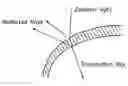 Fig. 01 - Single vision lenses