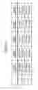 Fig. 11 - Raman amplifying device and raman amplifying system