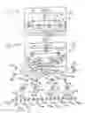 Fig. 19 - Global network computers