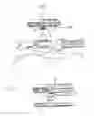Fig. 08 - Bi-lite cap featuring the groove light
