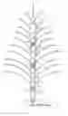 Fig. 01 - Multi-light source, multi-section optic fiber christmas tree
