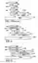 Fig. 06 - SRAM cell design for soft error rate immunity