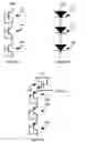 Fig. 05 - Method and system for providing temperature dependent programming for magnetic memories