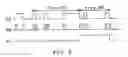 Fig. 11 - Apparatus and method for detecting defect signals