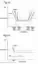 Fig. 19 - Recording medium, recording apparatus and recording method