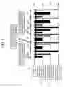 Fig. 07 - Radio communication system time slot allocation method