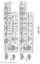 Fig. 19 - Program and method for controlling communication