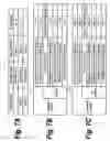 Fig. 08 - Network system, terminal setting method, address resolving server, and client terminal