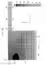 Fig. 04 - Diamond-cooled solid-state laser