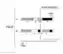 Fig. 08 - Image processing method, image processing apparatus, program and recording medium that can reduce image quality degradation