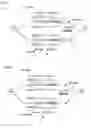 Fig. 05 - Optical wavelength multiplexing FSK modulation method