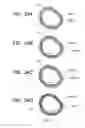 Fig. 17 - Image heating apparatus having flexible sleeve