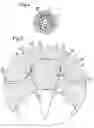 Fig. 04 - Hydraulic machine