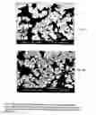 Fig. 09 - Process for the isolation and purification of zirconium peroxosulfate and uses thereof
