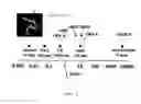 Fig. 03 - Block co-polymer worm micelles and methods of use therefor