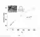 Fig. 04 - Block co-polymer worm micelles and methods of use therefor