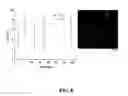 Fig. 09 - Block co-polymer worm micelles and methods of use therefor