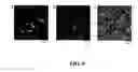 Fig. 10 - Block co-polymer worm micelles and methods of use therefor