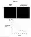 Fig. 14 - Block co-polymer worm micelles and methods of use therefor