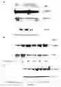 Fig. 13 - hC1Q/TNF7 and uses thereof