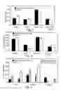 Fig. 03 - Method and apparatus for maintenance and expansion of hemopoietic stem cells and/or progenitor cells