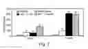 Fig. 05 - Method and apparatus for maintenance and expansion of hemopoietic stem cells and/or progenitor cells