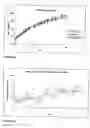 Fig. 12 - Probiotic propionibacterium