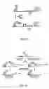 Fig. 16 - Method for screening transcriptional coregulatory proteins of transcription factors, and androgen receptor transcriptional coregulatory proteins as targets for androgen receptor-dependent diseases