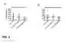 Fig. 04 - Endotheliase-2 ligands